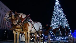 Arvest Winterfest Delays 2020 Opening