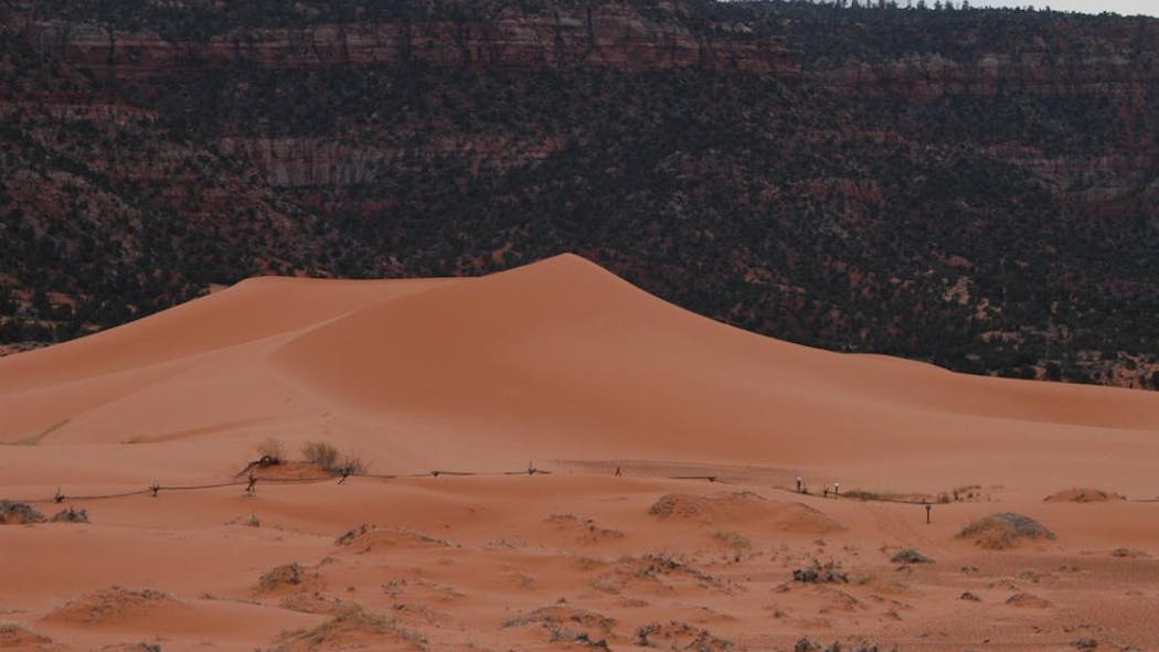Boy Dies After Being Buried Under Sand Dune At State Park