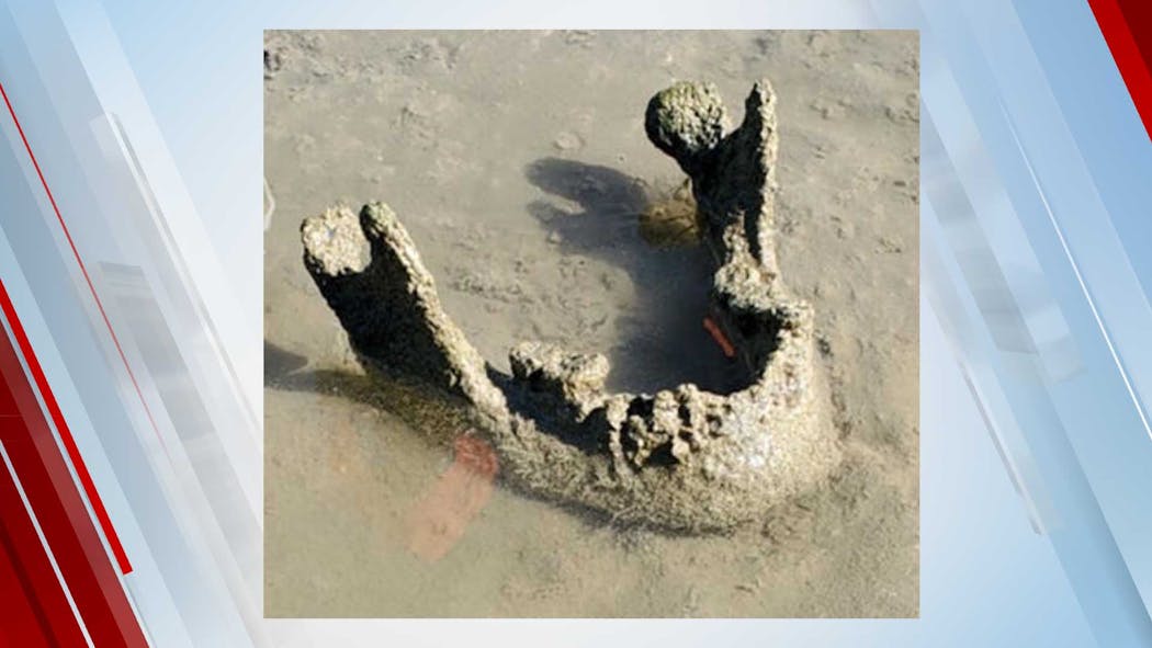 Prehistoric Human Jawbone Found In Iowa River
