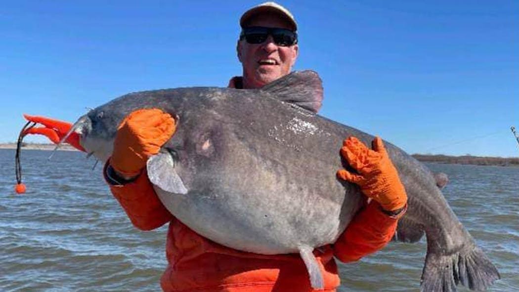 80 lbs Blue Catfish Oologah Lake Larry Cobb
