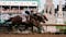 Mystik Dan Wins 150th Kentucky Derby In Stunning Photo Finish; Tulsa Attorney's Horse Finishes 11th