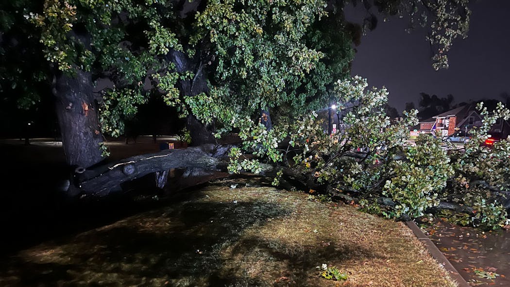 Storm Damage 11/3/24