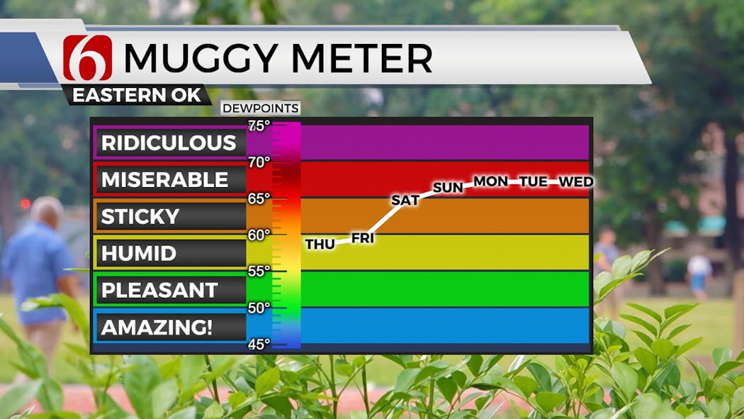 muggy 7 day 9-12-24