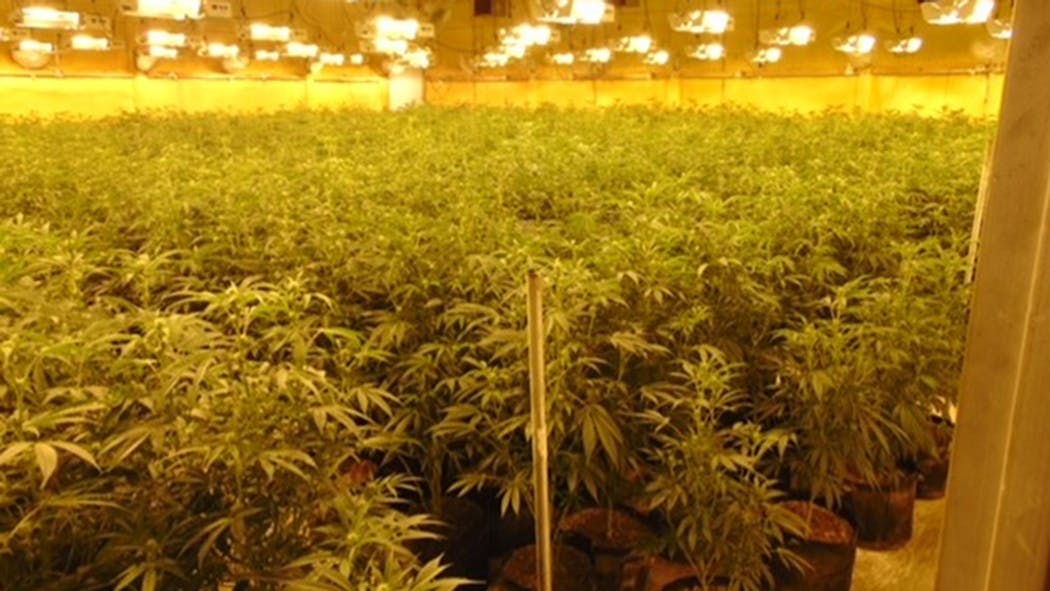 Ponca City Marijuana Bust