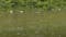 Bird Creek and Caney River rise above flood stage as flooding continues in Tulsa County