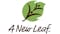 A New Leaf staff receive mental health first aid training