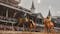 Sovereignty reigns in 151st Kentucky Derby, outdueling favorite Journalism in the slop