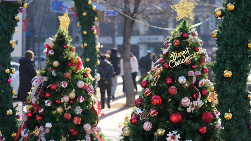 Christmas trees in SKorea