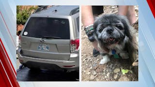 Owners Desperate To Have Vehicle, Disabled Dog Stolen From NW OKC Walmart Parking Lot Returned 