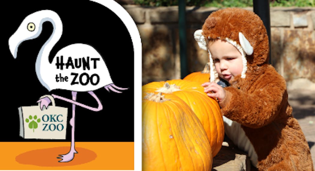 Haunt the Zoo