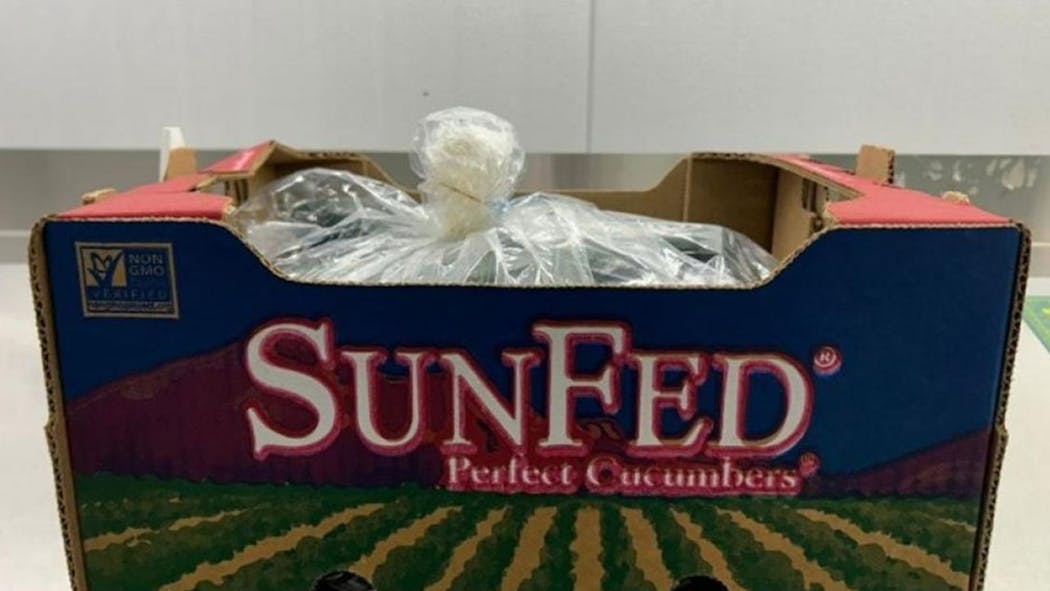 SunFed Perfect Cucumbers 2024