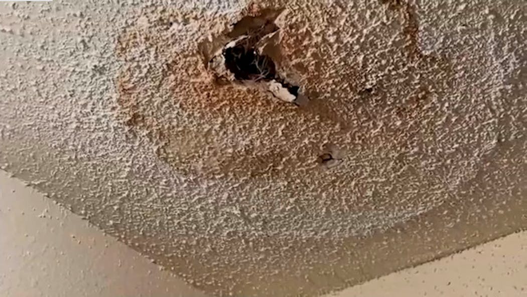 Apartment Mold - Tiarra Colbert story